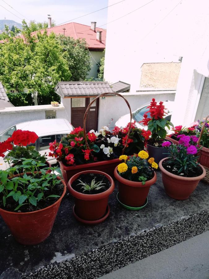 Apartman Ohren Sarajewo Zewnętrze zdjęcie