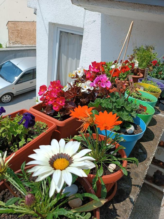 Apartman Ohren Sarajewo Zewnętrze zdjęcie